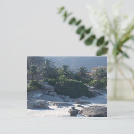 Boulders Beach - Cape Town Briefkaart (Staand voorkant)