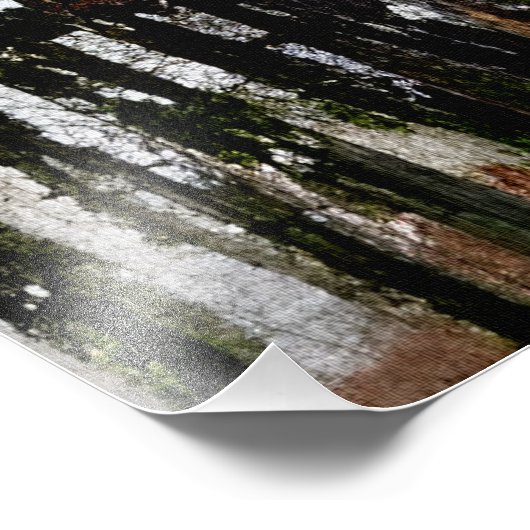 Boulevard Saint-Denis Foto Afdruk (Hoek)