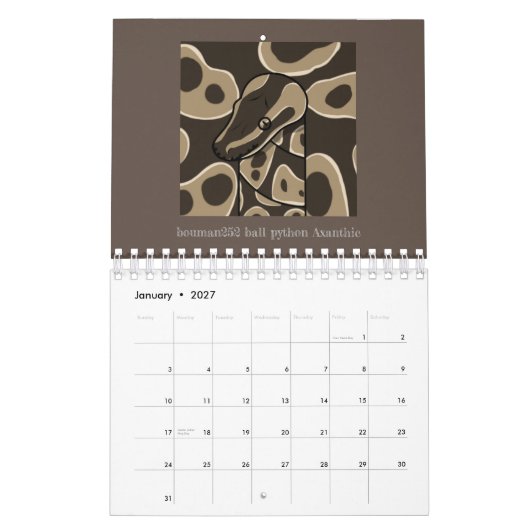 bouman ball python series kalender (Jan 2027)