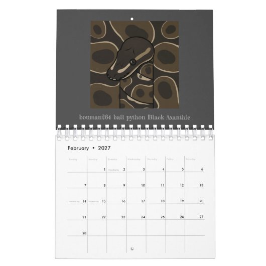 bouman ball python series kalender (Feb 2027)