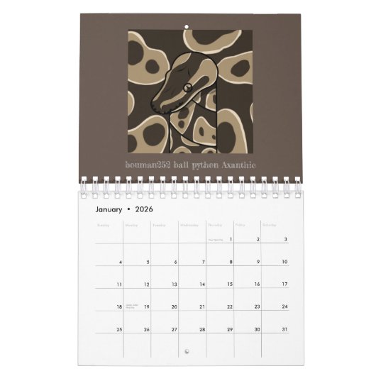 bouman ball python series kalender (Jan 2026)