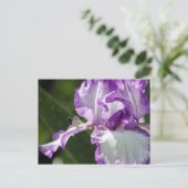 Bounful Butterfly Iris Fotografie Briefkaart (Staand voorkant)
