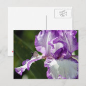 Bounful Butterfly Iris Fotografie Briefkaart (Voorkant / Achterkant)