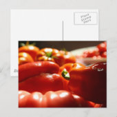 Bounful Harvest Briefkaart (Voorkant / Achterkant)