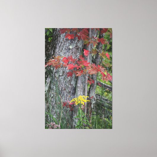 Bounty of Natuur Canvas Afdruk (Voorkant)