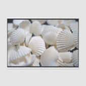 Bounty of Shells Tissuepapier (Voorkant)