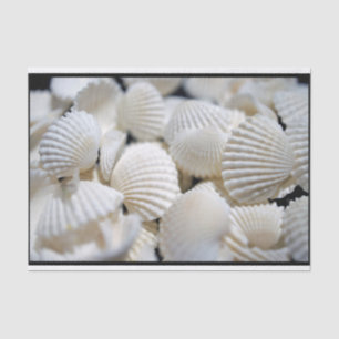 Bounty of Shells Tissuepapier