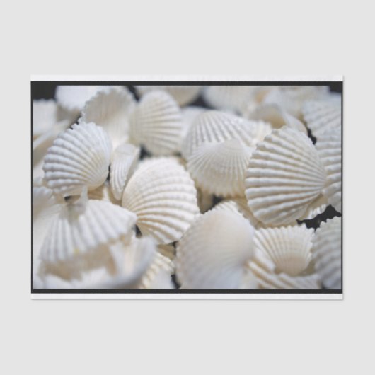 Bounty of Shells Tissuepapier (Voorkant)