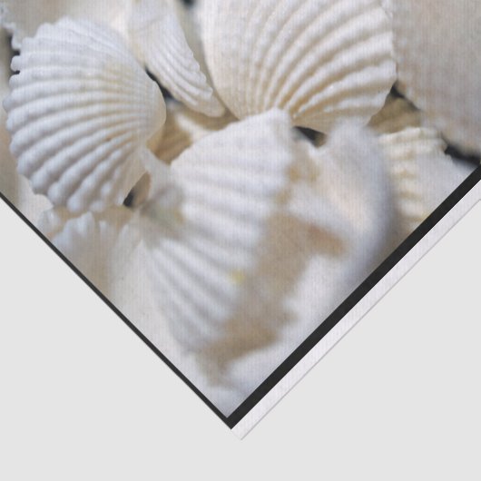 Bounty of Shells Tissuepapier (Detail)