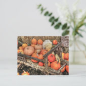 Bounty Pumpkins Briefkaart (Staand voorkant)