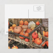 Bounty Pumpkins Briefkaart (Voorkant / Achterkant)