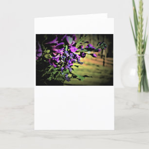 Bouquet, kaart