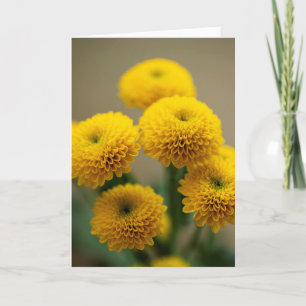 Bouquet of Yellow Santini Chrysanthemum Flowers Kaart