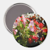 Bouquet van Begonias... Magneet (Voorkant / Achterkant)