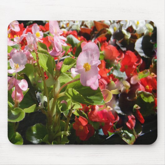 Bouquet van Begonias... Muismat (Voorkant)