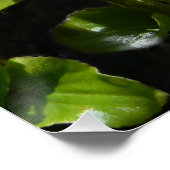 Bouquet van Begonias... Perfect Poster (Hoek)