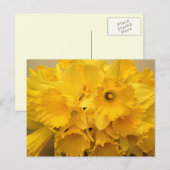 Bouquet van Daffodils Briefkaart (Voorkant / Achterkant)
