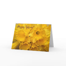 Bouquet van Daffodils Pasen