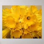Bouquet van Daffodils Poster (Voorkant)