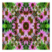 Bouquet van Echanicea... Perfect Poster (Voorkant)