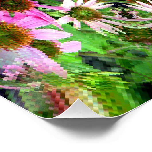 Bouquet van Echanicea... Perfect Poster (Hoek)