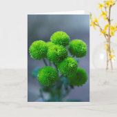 Bouquet van Green Santini Chrysanthemum Flowers Kaart (Gele Bloem)
