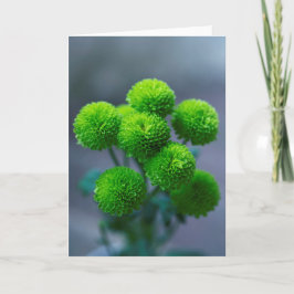 Bouquet van Green Santini Chrysanthemum Flowers Kaart