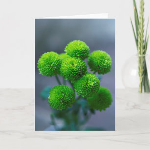 Bouquet van Green Santini Chrysanthemum Flowers Kaart