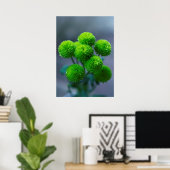 Bouquet van Green Santini Chrysanthemum Flowers Poster (Thuiskantoor)