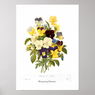 Bouquet van pansieën poster