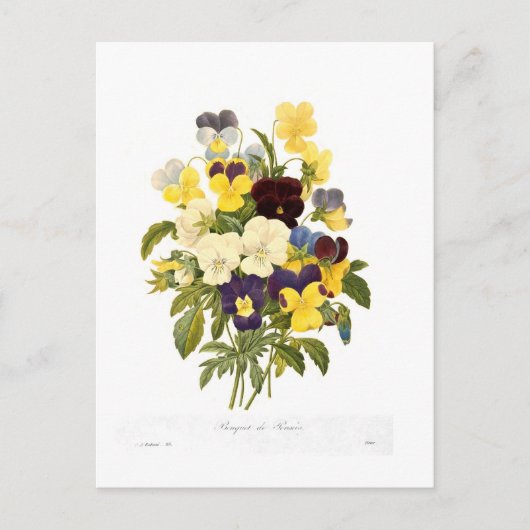 Bouquet van pansies van Pierre-Joseph Redouté Briefkaart (Voorkant)