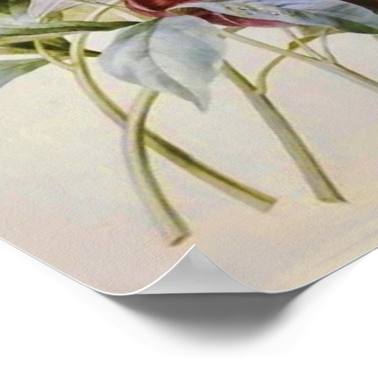 Bouquet van Peonies van Pierre Redoute Poster (Hoek)