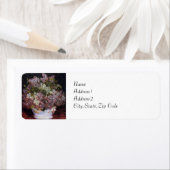 Bouquet van Renoir Etiket (Insitu)