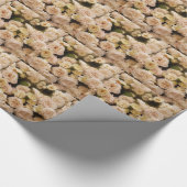 Bouquet van Rozen Cadeaupapier (Hoek)