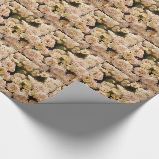 Bouquet van Rozen Cadeaupapier (Hoek)