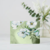 Bouquet van Witte Pansies over Groene Achtergrond Briefkaart (Staand voorkant)