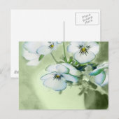 Bouquet van Witte Pansies over Groene Achtergrond Briefkaart (Voorkant / Achterkant)