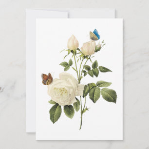 Bouquet White Roses with Butterflies Invitation Kaart