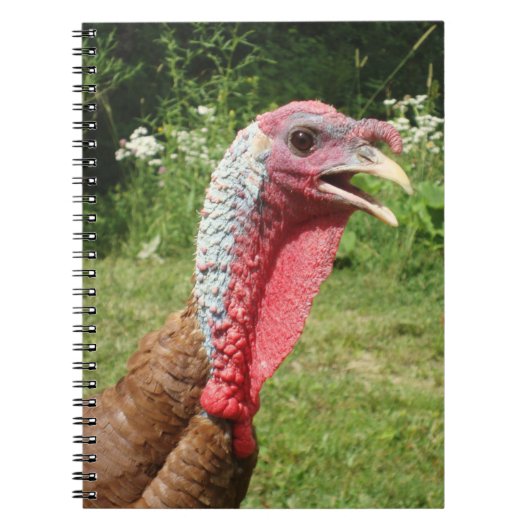 Bourbon Red Turkey-laptop Notitieboek (Voorkant)