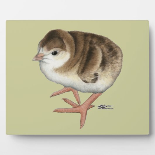 Bourbon Red Turkey Poult Fotoplaat (Voorkant)