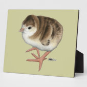 Bourbon Red Turkey Poult Fotoplaat (Zijkant)