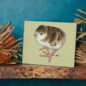 Bourbon Red Turkey Poult Fotoplaat (Zijkant)