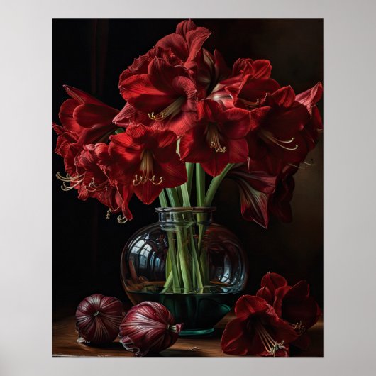 Bourgogne Amaryllis Flowers Art Print Poster (Voorkant)