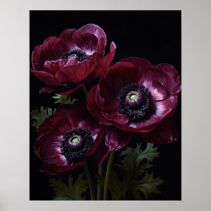 Bourgogne Anemone Flowers Art Print Poster