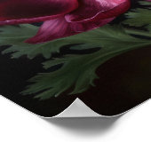 Bourgogne Anemone Flowers Art Print Poster (Hoek)