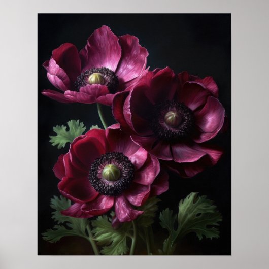 Bourgogne Anemone Flowers Art Print Poster (Voorkant)