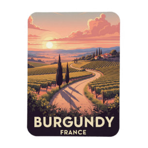 Bourgogne Frankrijk Reizen Magneet