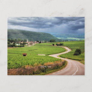 Bourgogne, Franse wijngaarden, Briefkaart
