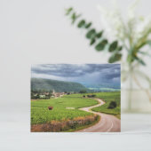 Bourgogne, Franse wijngaarden, Briefkaart (Staand voorkant)