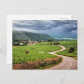 Bourgogne, Franse wijngaarden, Briefkaart (Voorkant / Achterkant)